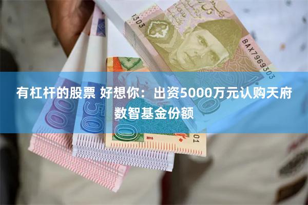 有杠杆的股票 好想你：出资5000万元认购天府数智基金份额