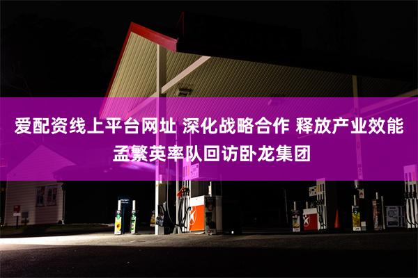 爱配资线上平台网址 深化战略合作 释放产业效能 孟繁英率队回访卧龙集团