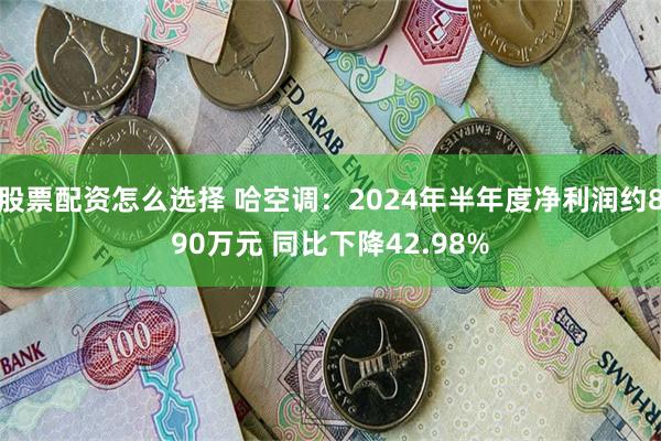 股票配资怎么选择 哈空调：2024年半年度净利润约890万元 同比下降42.98%